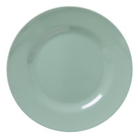 Khaki Green Melamine Dinner Plate by Rice DK